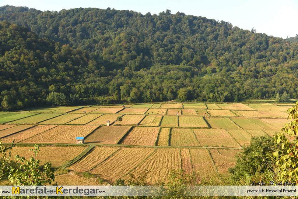 طبیعت ساری